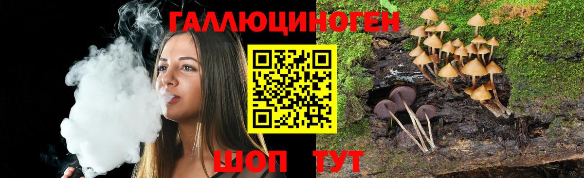 как найти закладки  Галлюциногенные грибы Psilocybe  Вход с VPN  Кстово 